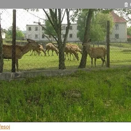 Pastyrik Lägenhet Vrbovec